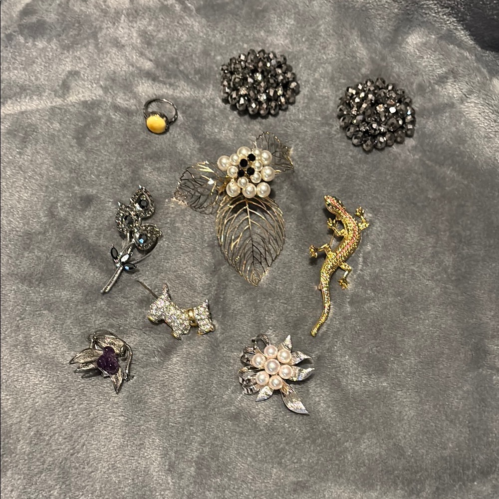 Costume jewelry- brooches, ring, shoe clips